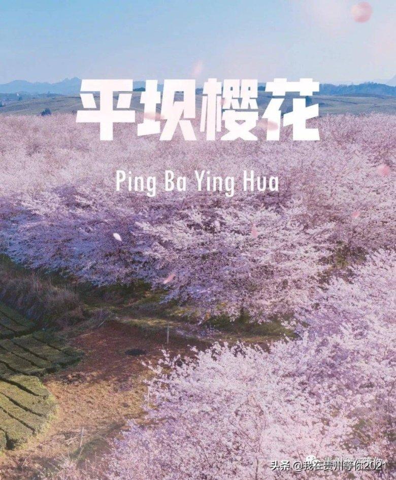 “春城”昆明迎来2024年首场雪 民众开启“云”赏雪模式